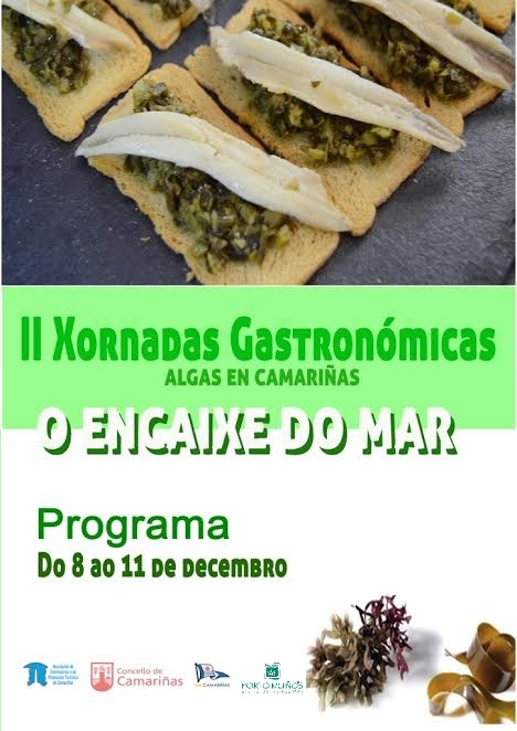 folleto-modificado